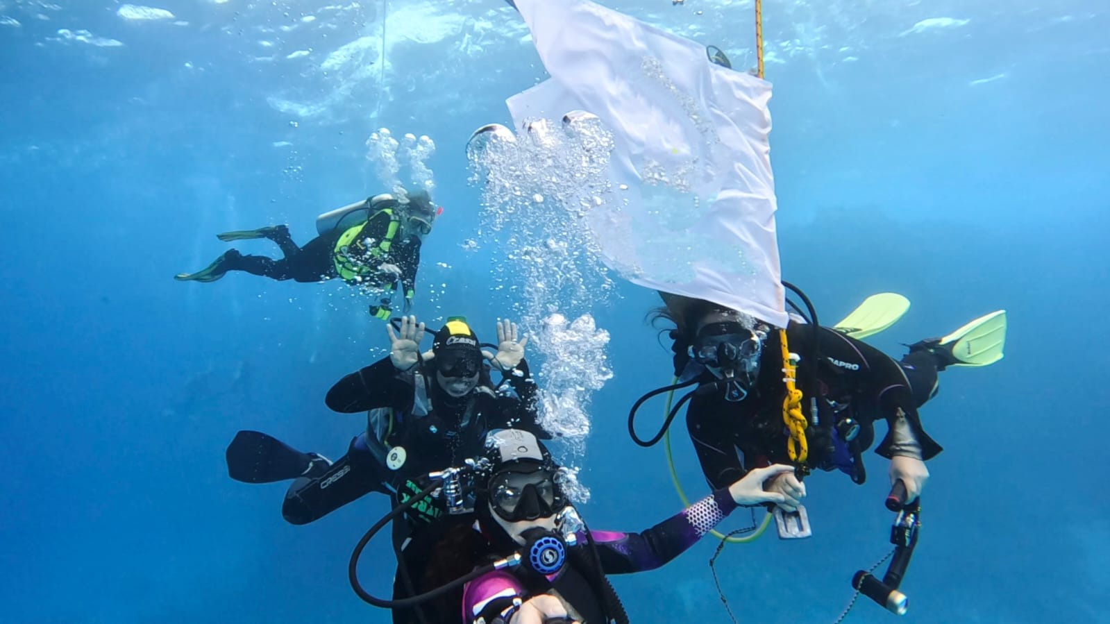 Gruppo di sub in immersione a Sapri