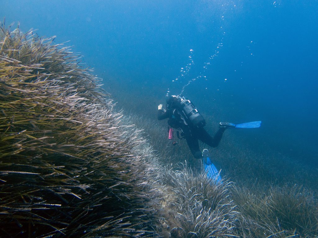 Sub in immersione a Sapri