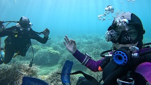 ASD Cilento Scuba Dream place picture